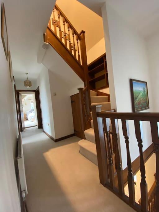 Eco-Friendly Dorset Cottage With Spa Set In Heart Of Countryside Sydling St Nicholas Eksteriør billede