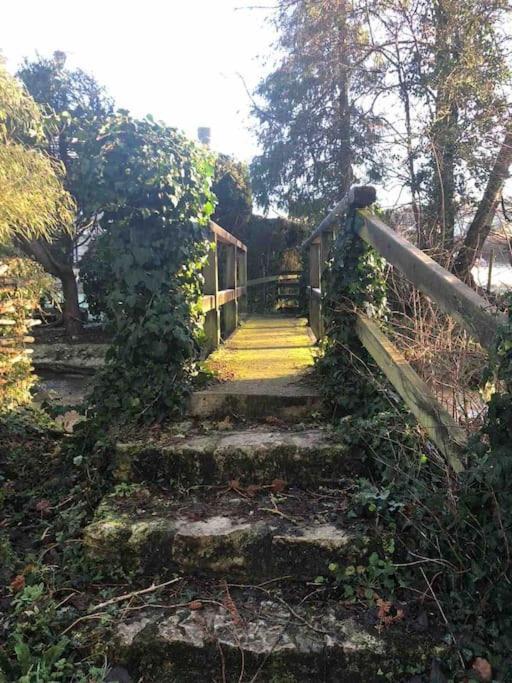 Eco-Friendly Dorset Cottage With Spa Set In Heart Of Countryside Sydling St Nicholas Eksteriør billede