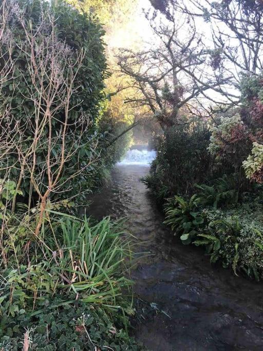 Eco-Friendly Dorset Cottage With Spa Set In Heart Of Countryside Sydling St Nicholas Eksteriør billede