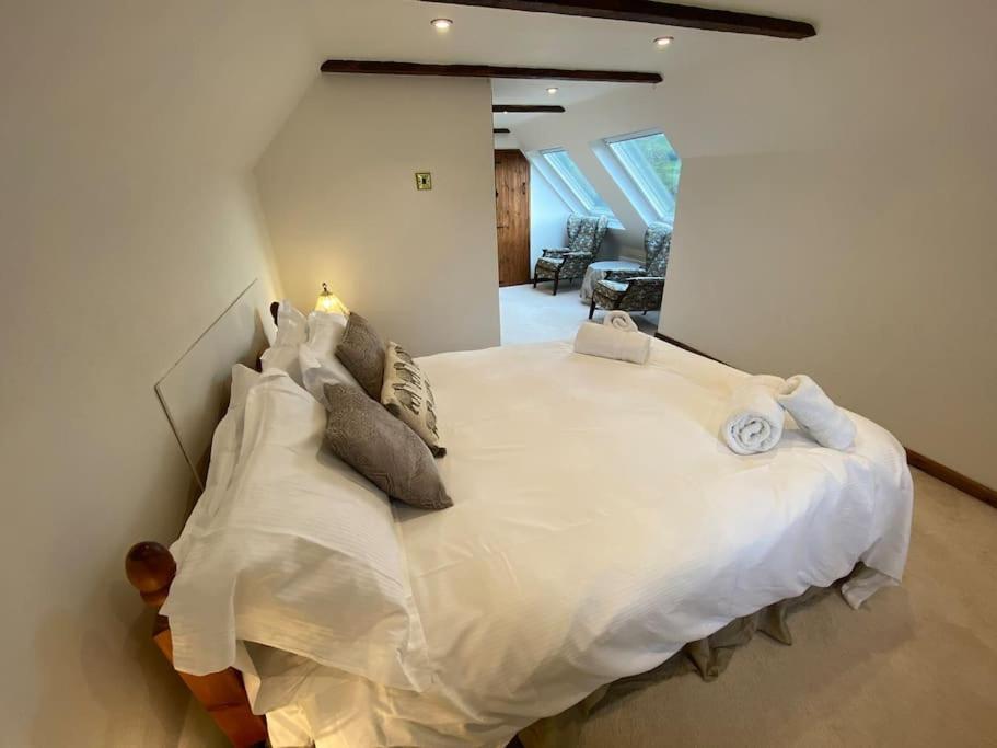 Eco-Friendly Dorset Cottage With Spa Set In Heart Of Countryside Sydling St Nicholas Eksteriør billede