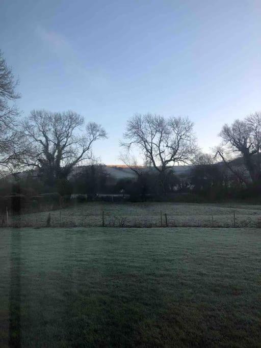 Eco-Friendly Dorset Cottage With Spa Set In Heart Of Countryside Sydling St Nicholas Eksteriør billede